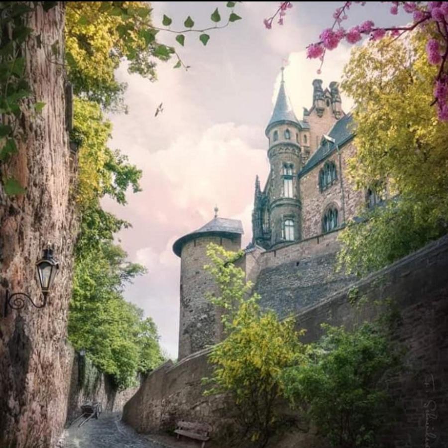 Apartmán Ferienhaus Am Westerntor III Wernigerode Exteriér fotografie